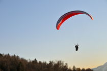 Paraglider in air over forest by Sami Sarkis Photography