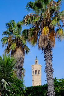 Minaret of mosque in between palm trees by Sami Sarkis Photography