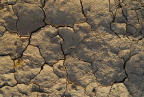 Cracked mud surface by Sami Sarkis Photography