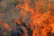Log fire and flames von Sami Sarkis Photography
