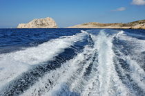 Boat wake and Maire Island von Sami Sarkis Photography