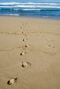 Footprints on beach leading to sea by Sami Sarkis Photography