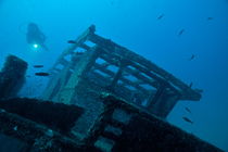 Diver exploring shipwreck by Sami Sarkis Photography