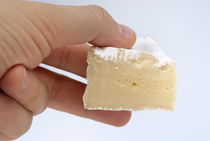 Slice of camembert cheese in hand von Sami Sarkis Photography