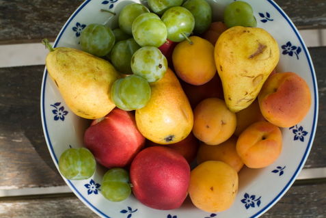 Rf-bowl-choice-fresh-fruit-ripe-summer-variety-lan0211
