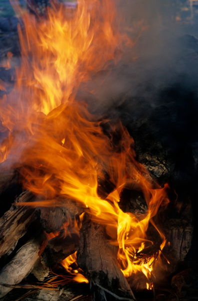 Rf-cooking-flames-traditional-vanuatu-vt257