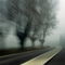Rm-blurry-carpentras-foggy-road-trees-winter-otr222