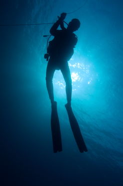 Rf-adventure-diver-maldives-scuba-diving-sea-uwmld0244