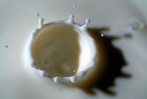 Rf-abstract-drops-landing-liquid-milk-splashing-var582