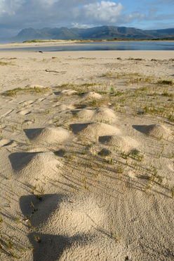Sand-lake-south-africa-alrf-saa-fna6742