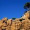 Rf-cliffs-piana-pine-rocks-scenic-tree-lds197