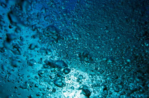 Rf-bubbles-fresh-sea-sunbeams-underwater-uw250