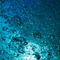 Rf-bubbles-fresh-sea-sunbeams-underwater-uw250