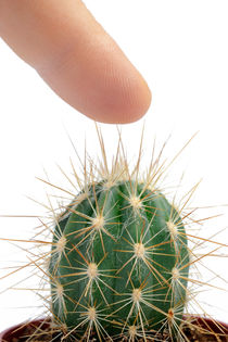 Man pressing his finger on a mini cactus von Sami Sarkis Photography