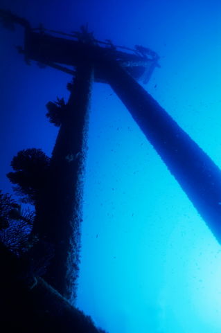 Rm-dalton-shipwreck-marseille-masts-uw283