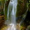 Rf-beauty-fresh-moss-nature-pure-rocks-waterfall-pro557