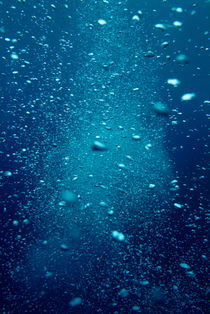 Bubbles underwater produced by scuba divers. von Sami Sarkis Photography