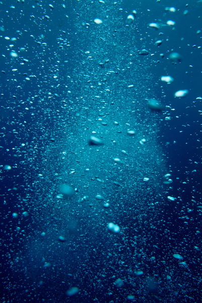 Rm-beauty-bubbles-oxygen-scuba-diving-sea-uw656