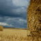 Rm-bales-farm-field-france-harvested-hay-bales-fra733