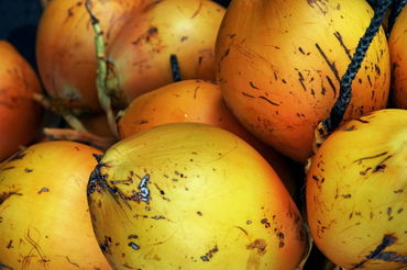 Rf-coconuts-fresh-fruit-maldives-market-ripe-mld0384