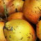Rf-coconuts-fresh-fruit-maldives-market-ripe-mld0384