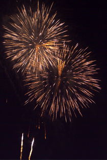 Fireworks light up the sky while celebrating Bastille Day von Sami Sarkis Photography