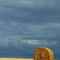 Rm-bale-farm-field-france-harvested-hay-bale-fra726