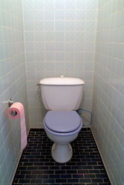 Rf-bathroom-restroom-tiled-toilet-var476