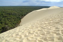 Landes Forest seen from the Great Dune of Pyla by Sami Sarkis Photography
