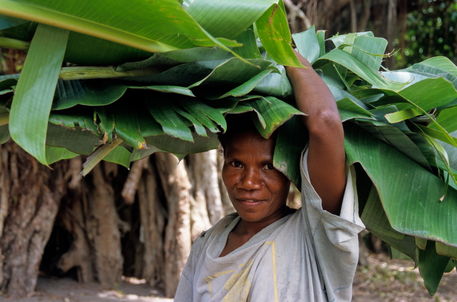 Rm-carrying-on-head-leaves-vanuatu-woman-vt254