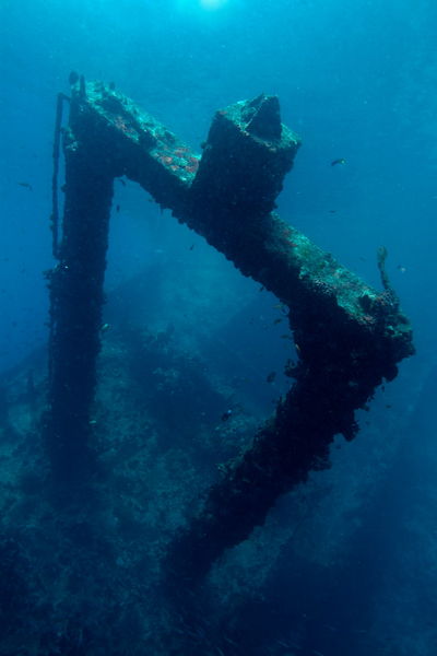 Rf-decay-maldives-sea-shipwreck-uwmld0283