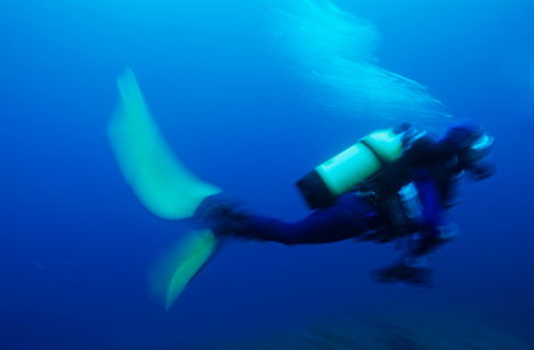 Rf-bubbles-discovery-diver-scuba-diving-sea-uw244