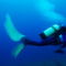 Rf-bubbles-discovery-diver-scuba-diving-sea-uw244