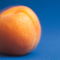 Rf-apricot-fresh-fruit-healthy-ripe-var240