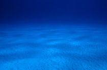Vast sandy ocean floor and blue waters von Sami Sarkis Photography