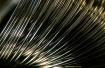 Coiled metal spring. by Sami Sarkis Photography