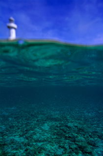 Amedee Lighthouse Island seen from underwater by Sami Sarkis Photography