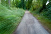 Dirt path and surrounding bush seen from a cyclist's point of view. von Sami Sarkis Photography