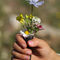 Rf-bouquet-cartridge-child-contrasts-flowers-var1139
