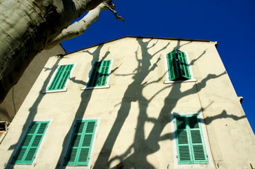 Rf-building-facade-marseille-shadows-shutters-trees-mle372