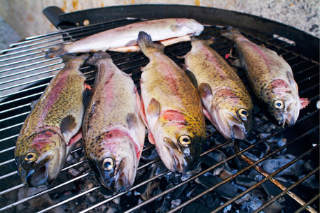 Rf-barbecue-cooking-fish-meal-trout-var271