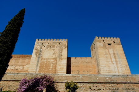 Rm-alhambra-palace-architecture-unesco-adl0858