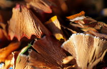 Pile of discarded pencil shavings. by Sami Sarkis Photography