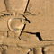 Rm-egyptian-hieroglyphs-temple-wall-egy144