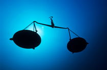 Silhouette of a pair of scales underwater. by Sami Sarkis Photography