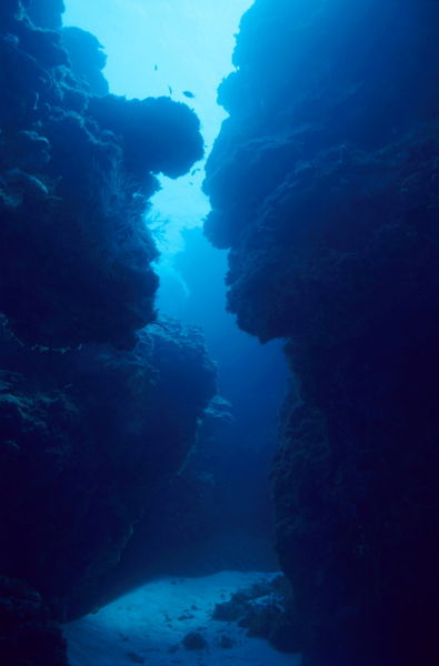 Rm-mexico-palancar-reef-rocks-underwater-uwmex011