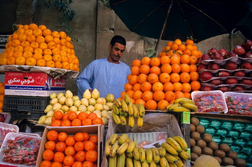 Rm-aswan-farmers-market-food-fresh-men-vendor-egy130