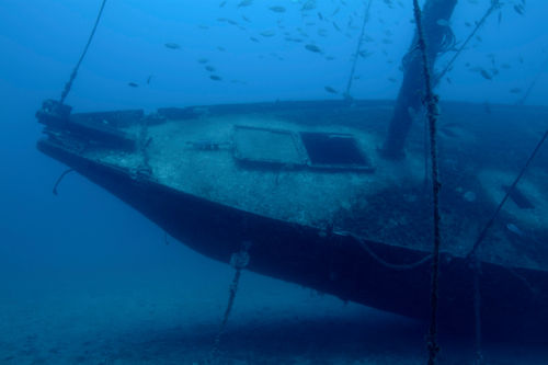 Rf-decay-fish-france-sea-shipwreck-underwater-uw608