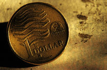 One australian dollar coin. by Sami Sarkis Photography