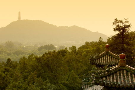 Rm-architecture-foliage-lush-rooftop-summer-palace-chn0240